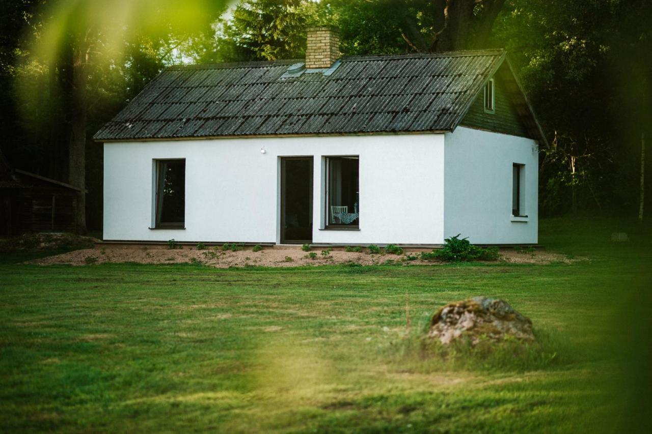 Villa Burtnieka Ezera Maja Valmiera Exterior foto